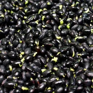 Black Beans